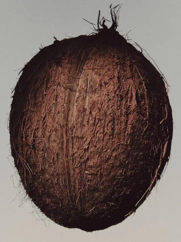 (100 ml) Blond Vanilla Eau de Parfum (100 ml) Blond Vanilla Eau de Parfum