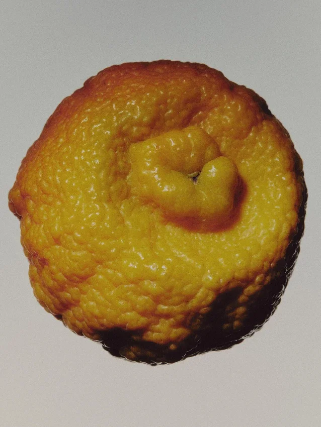 (100 ml) Bronze Lavender Eau de Parfum (100 ml) Bronze Lavender Eau de Parfum