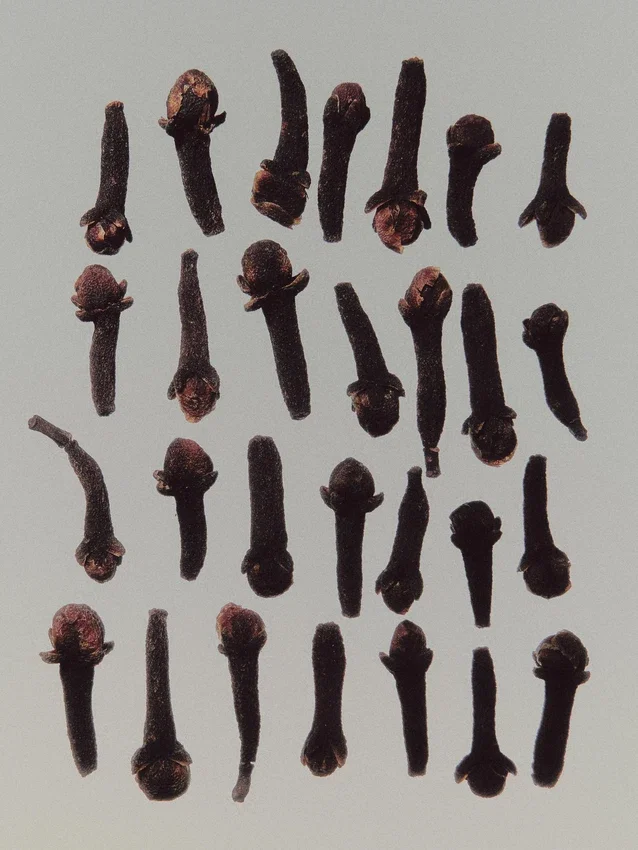 (100 ml) Manhattan Light Eau de Parfum (100 ml) Manhattan Light Eau de Parfum