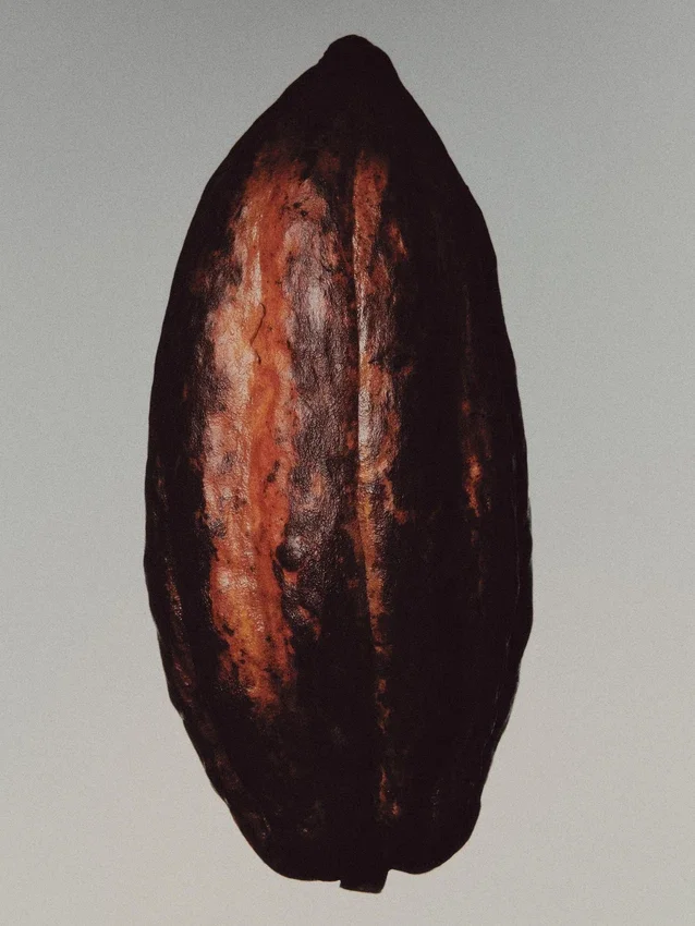 (100 ml) Leather Mirage Eau de Parfum (100 ml) Leather Mirage Eau de Parfum